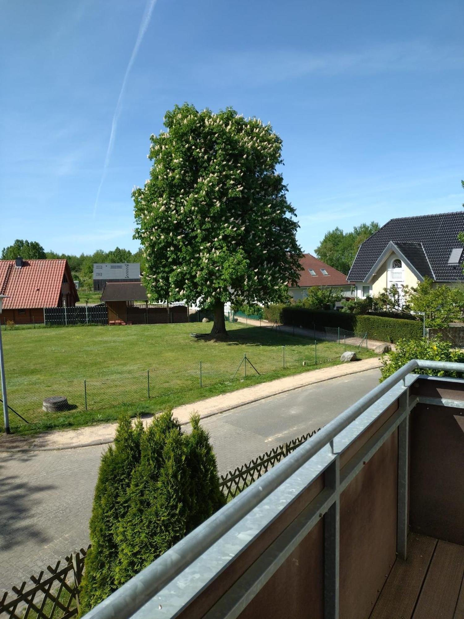 Ferienhaus Rechlin See Esterno foto